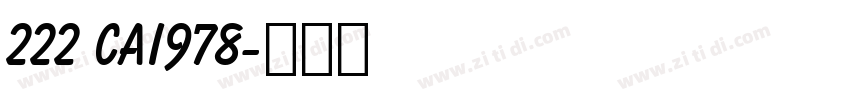 222 CAI978字体转换